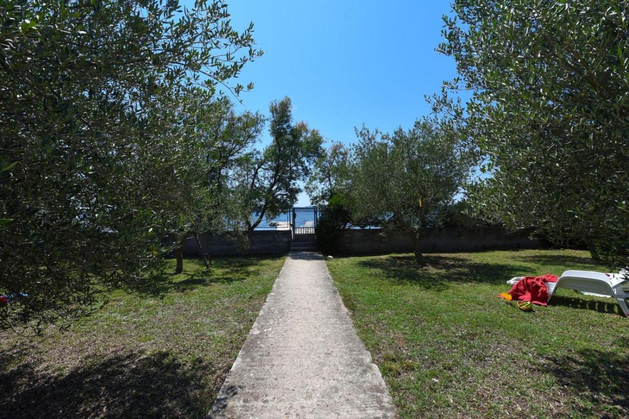 Apartments Bibinje By The Beach Экстерьер фото